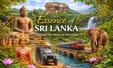 Essence of Sri Lanka