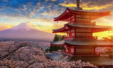 Japan Discovery Tour