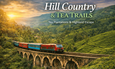 Hill Country & Tea Trails