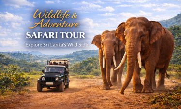 Wildlife & Adventure Safari Tour