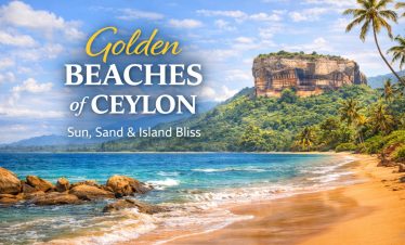Golden Beaches of Ceylon